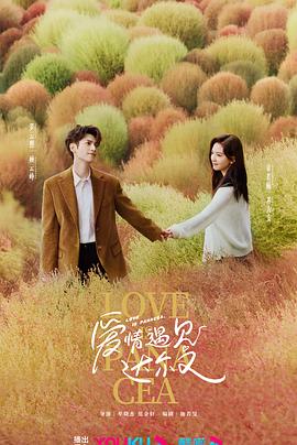 菊豆高清海报剧照